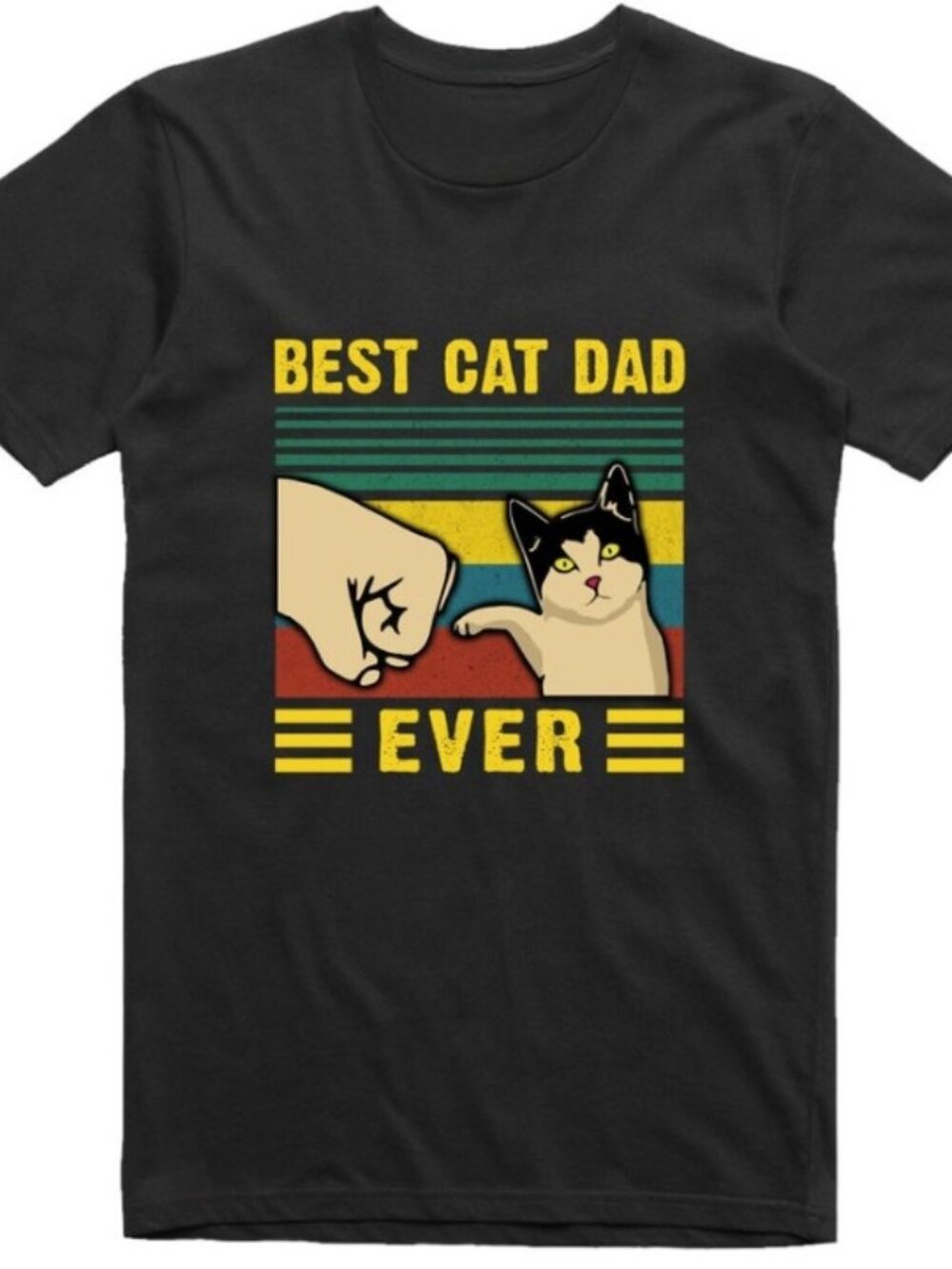 Best Cat Dad Fathers Day Funny Unisex T Shirt